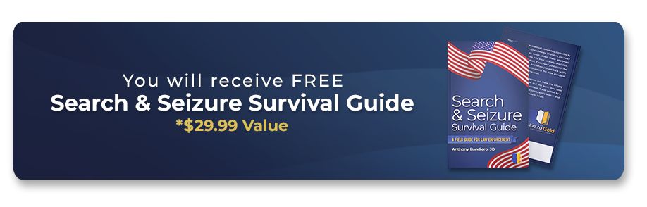 Advanced Traffic Stops