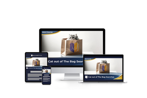 Cat Out of The Bag Searches - Mini Course Downloads