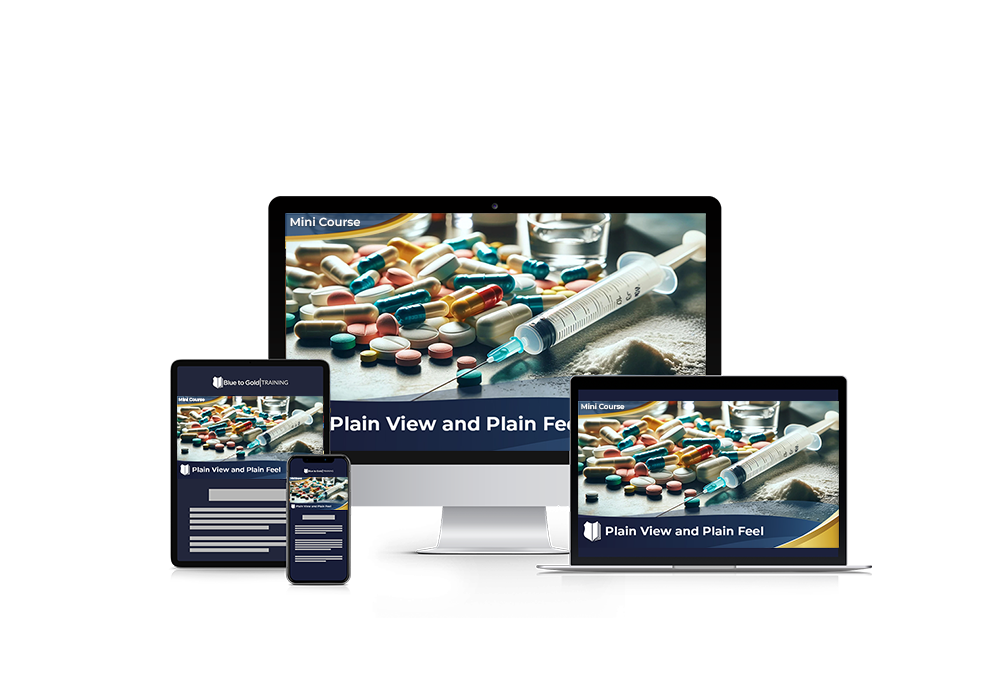 Plain View & Plain Feel - Mini Course