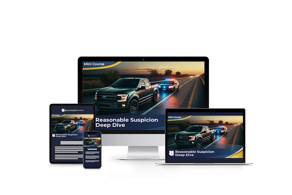 Reasonable Suspicion Deep Dive - Mini Course Downloads