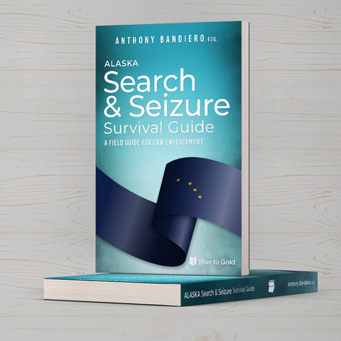 Search and Seizure Survival Guide