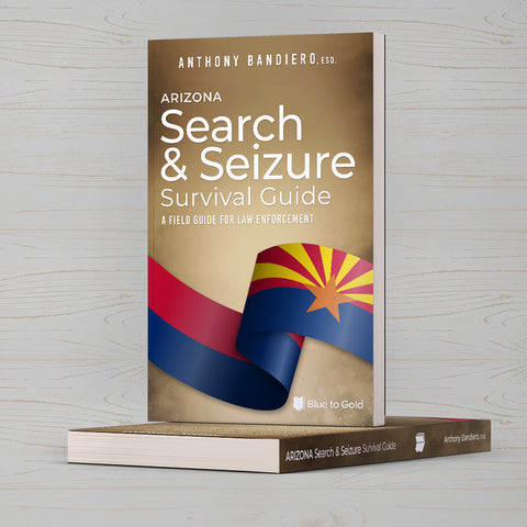 Search and Seizure Survival Guide