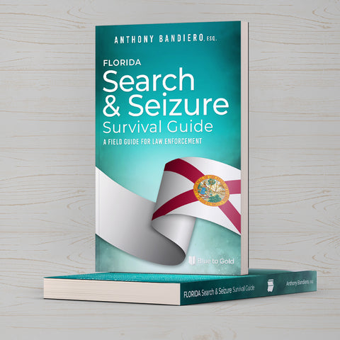 Search and Seizure Survival Guide