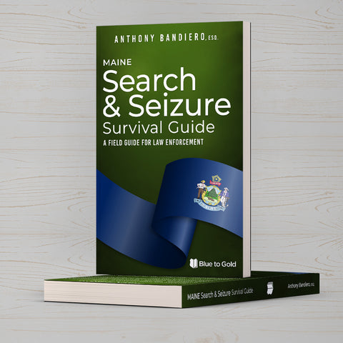 Search and Seizure Survival Guide