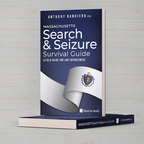 Search and Seizure Survival Guide