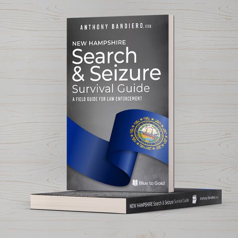 Search and Seizure Survival Guide