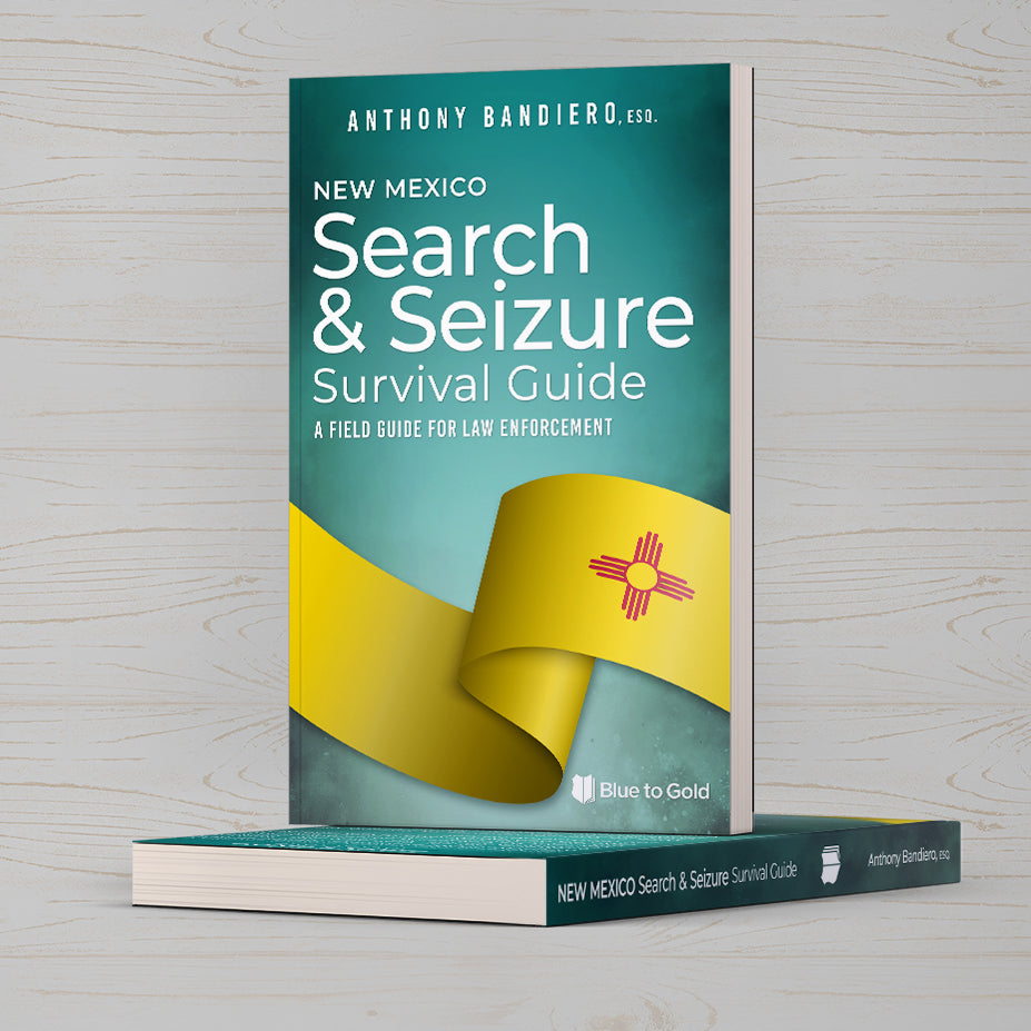 Search and Seizure Survival Guide