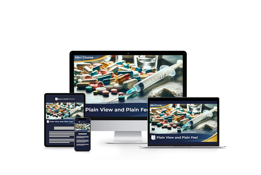Plain View & Plain Feel - Mini Course Downloads