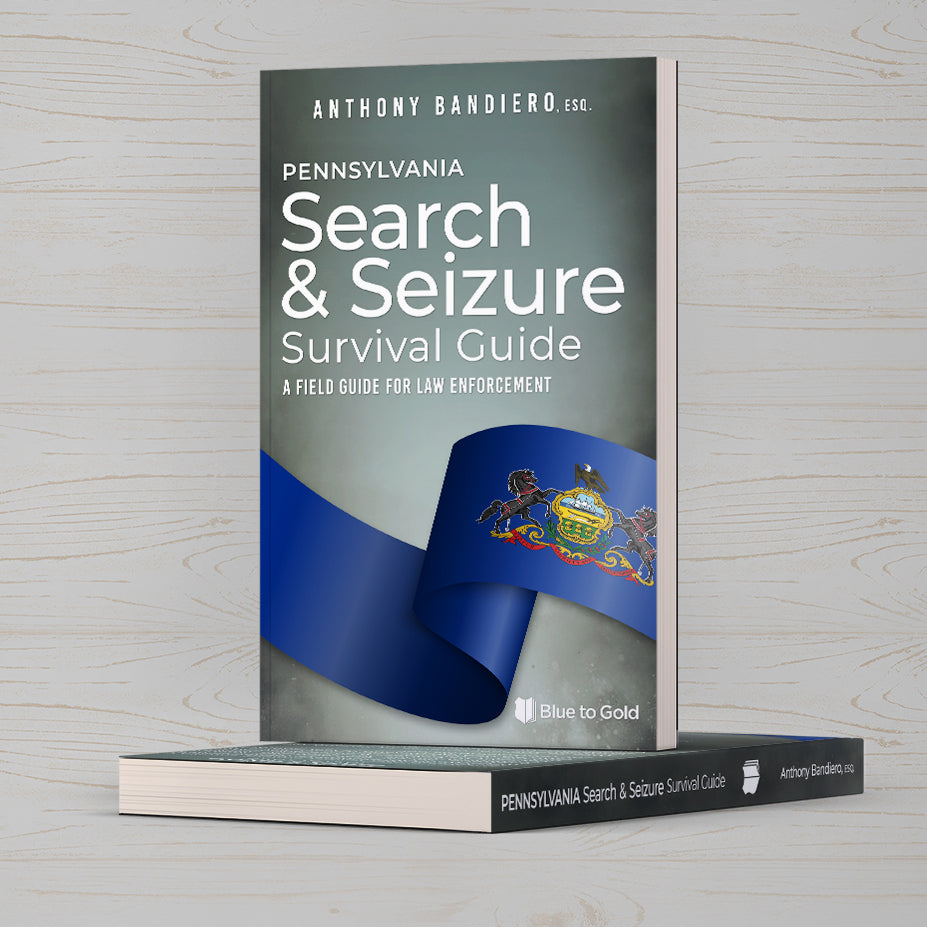 Search and Seizure Survival Guide