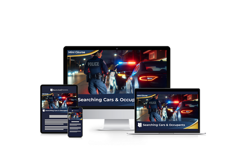 Searching Cars and Occupants - Mini Course Downloads