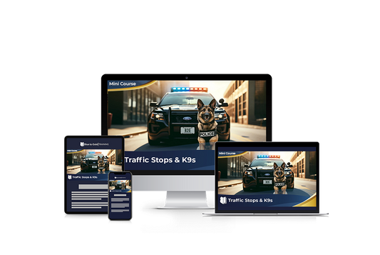 Traffic Stops & K9's - Mini Course Downloads