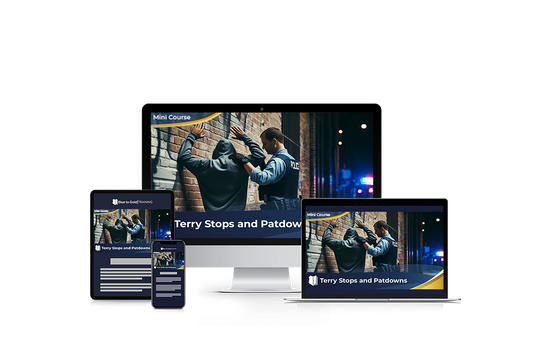 Terry Stops & Patdowns - Mini Course Downloads