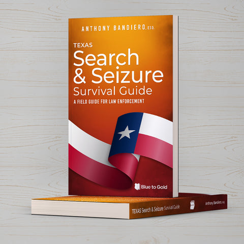 Search and Seizure Survival Guide