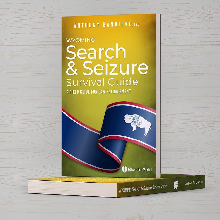 Search and Seizure Survival Guide