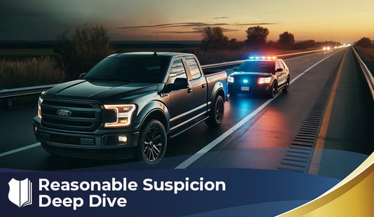 Reasonable Suspicion Deep Dive - Mini Course