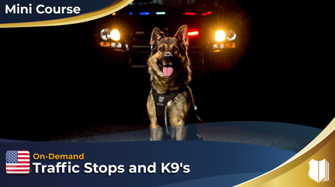 Traffic Stops and K9's