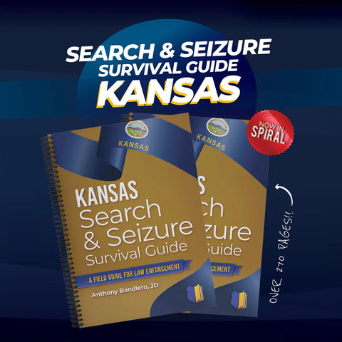 Search and Seizure Survival Guide