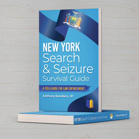 Search and Seizure Survival Guide