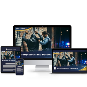 Terry Stops and Patdowns - Mini Course